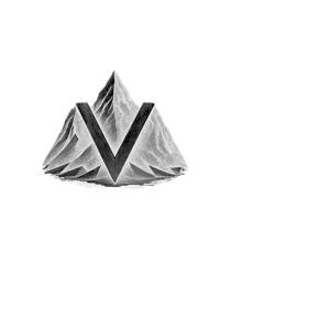 logo blanco vilma studios